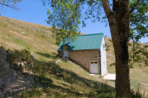 Cozy house in Durmitor